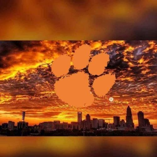 IMG_-9q8kf0