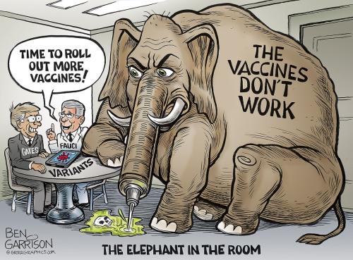 Ben Garrison The Vaccine Elephant In The Room
