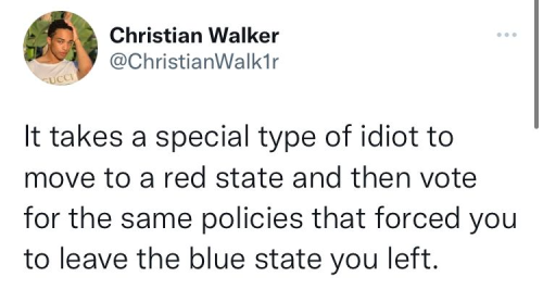 vote