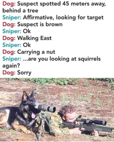 8B0BB21C-40BF-4ADD-A17D-600CEF442F65