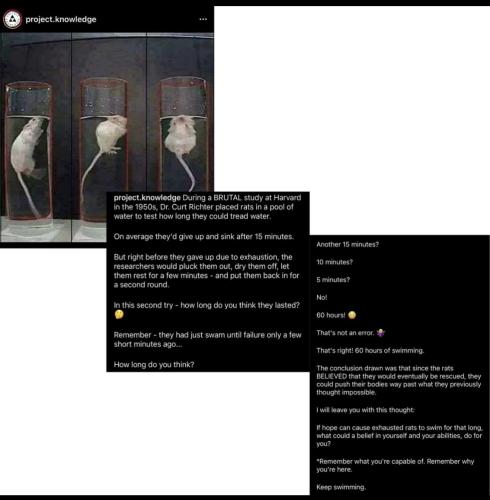 ADF81A4F-489F-4062-B69C-35EF92F26D7C