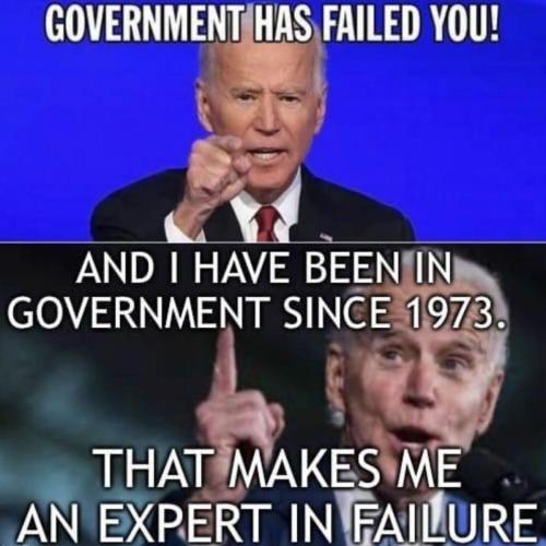 M Expert