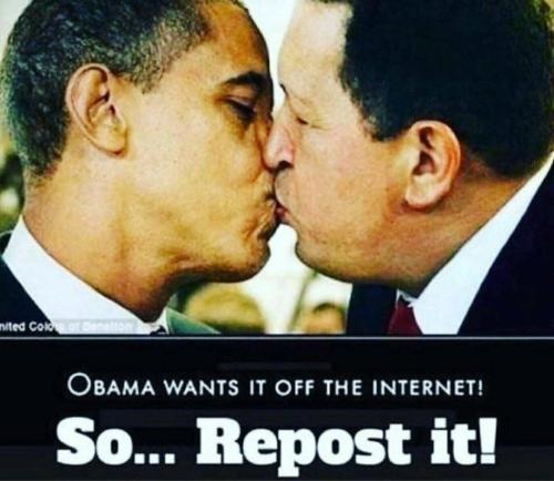 8236187dc04d53c0