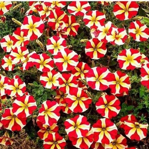 3A2612BF-CBD3-4F97-A03D-3E454E657F3C