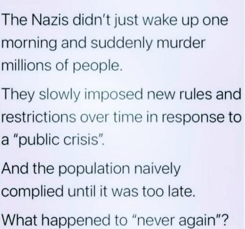 THE NAZIE
