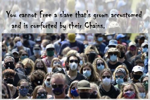you cannot free a slave who has become comforted by their chains