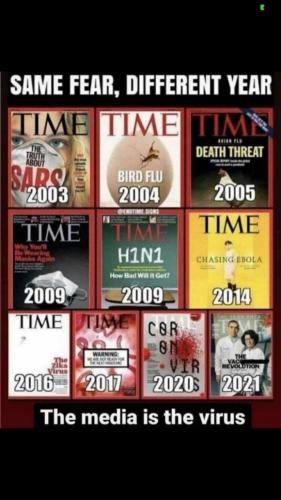 d59bfc5590521fa9a41a35ec09565ece_500x0