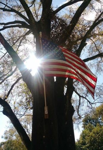 Flag - Hanging on a tree