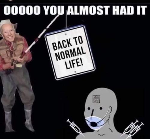 You Almost Had Normal Again Baiting