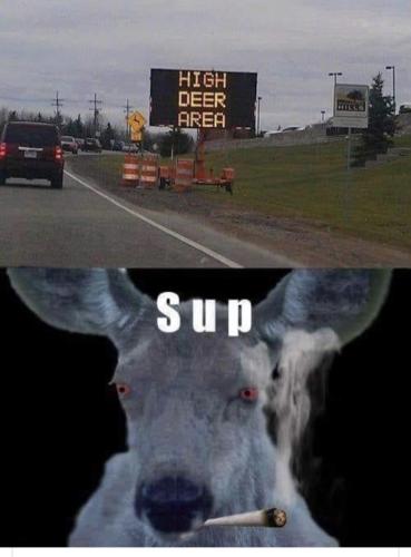 D2D817F7-6D4F-437D-A958-4619A4B236B8