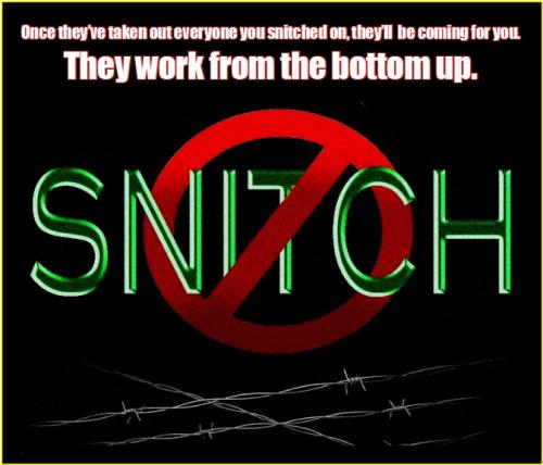 Snitches From The Bottom Up