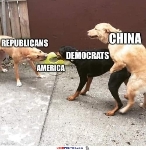 Comedy Meme 12.22