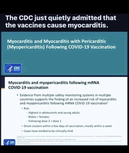 A84A2304-44B3-4310-825A-167E5E9BE956