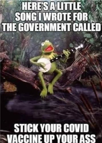 Kermit's covid vaccine song