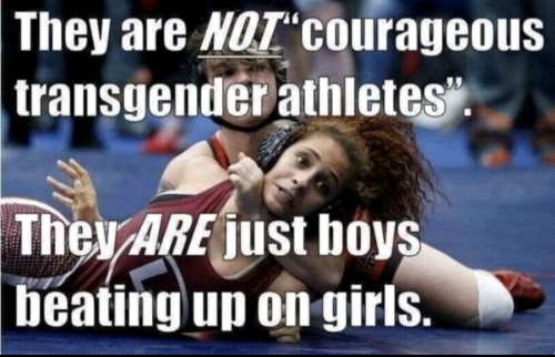 Screenshot_20211217-084144~2