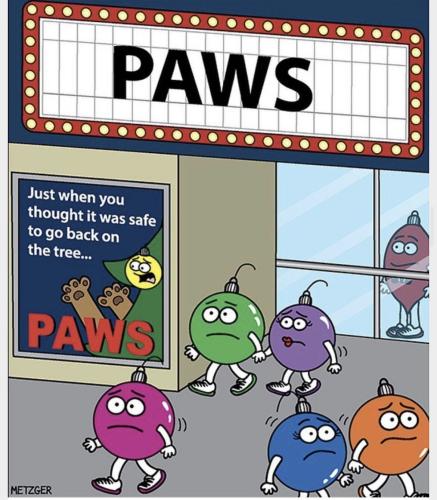 cat-paws