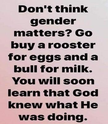 don't think gender matters