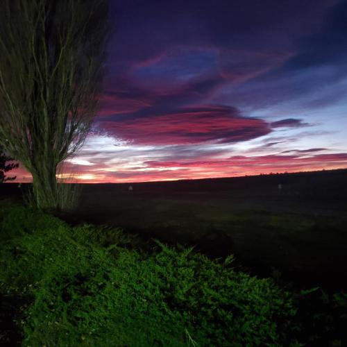 IMG_20211201_063823_991