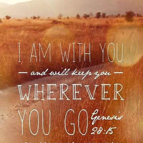 IMG_20211128_200247_368