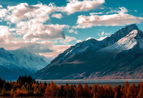 The Gold Ring in The Mud