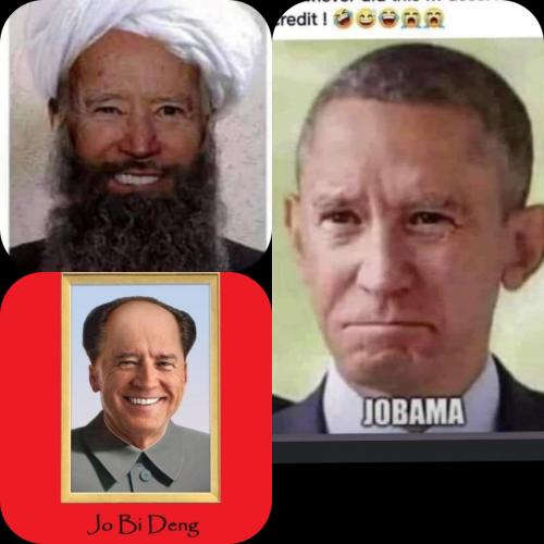 image_1639708896.467