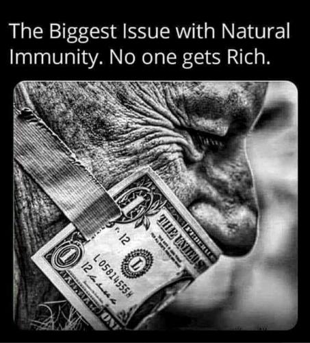immune