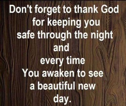 FB_IMG_1605981602294