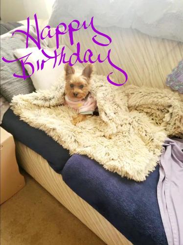 Screenshot_20211211-084233_Photos