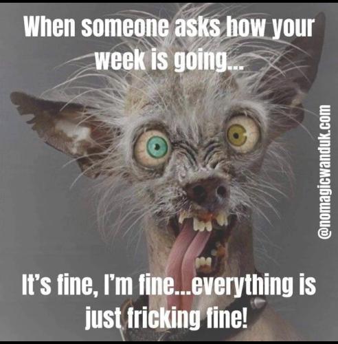 1156C8B5-3035-4AE0-A36F-DF0204B66280