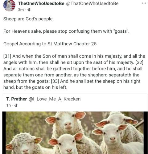 Screenshot_20211219-104426_Chrome