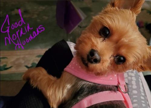 Screenshot_20211209-192820_Gallery