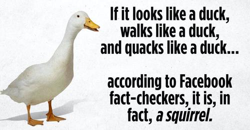 safe_image
