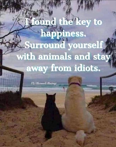 wd4nChXMY6M6j2SBTQtO_18_113718e6fd8b37b2df23a742796dbeb4_image_original