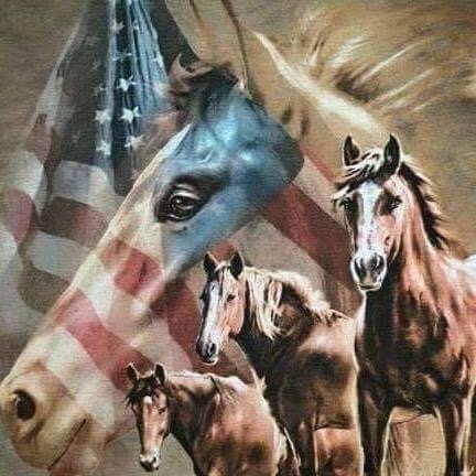 889586B6-6D81-493B-96DD-BA9341232D50