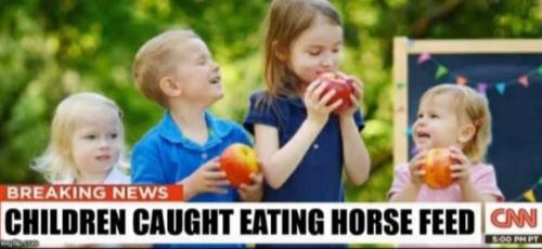 A00D56D1-802E-4792-888D-10967C295270