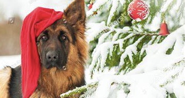 294F35D3-ED6C-4671-8830-545F295473E9