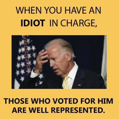 WHEN YOU HAVE AN IDIOT IN CHARGE