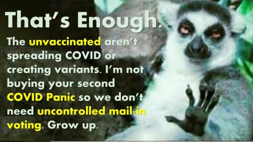 00COVID PANICIcritter