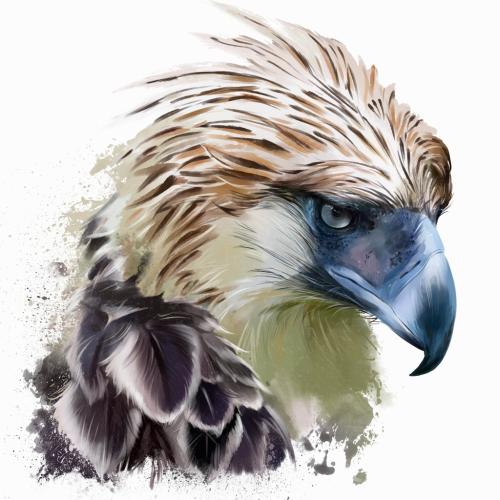 7F0CF70F-7528-4C94-97A9-AEDD2E0EF40E