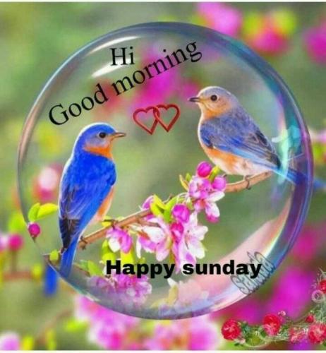 69d018e7fe299f2b04d1c1457ff71713