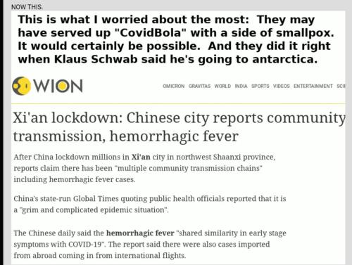 Screenshot_20211228-080225_Brave