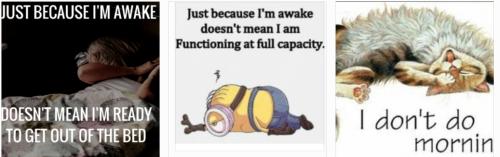 Screenshot_20211201-094717_Gallery