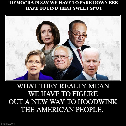 DEMOCRATSBBBHOODWINKTHEAMERICANPEOPLE