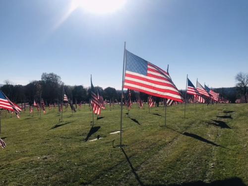 10FD3B2F-83D2-423D-ADD0-1DBF517F4445