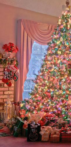 Christmas_Tree-a92aed44-28ea-393a-8fc0-1c06ab99e88b