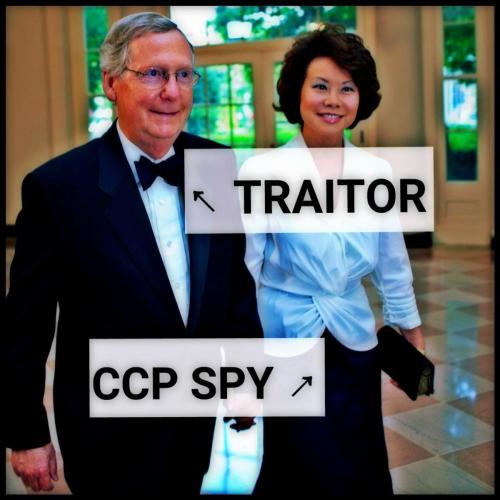 image_1639541259.979