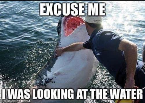 AE9F603A-B48C-416E-93C5-1DC43F193C12