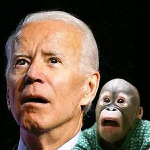 FB_IMG_1639590242443