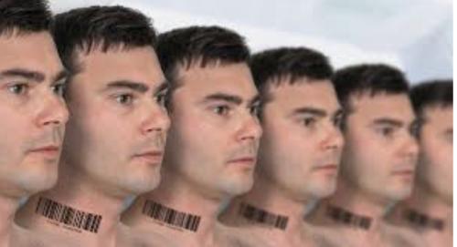 B0019150-B68B-407B-BC59-E1EFEF1AAE4B