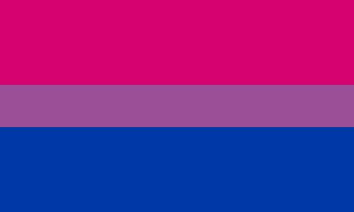 straight pride flag
